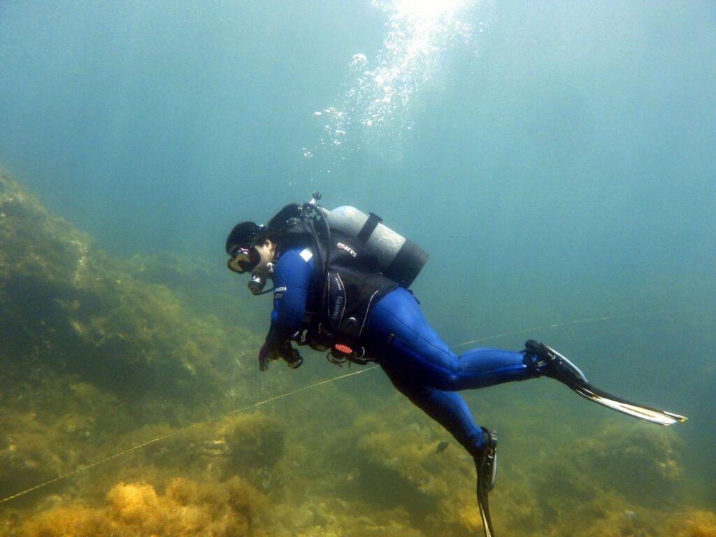 Claudia Ishibashi com tartaruga marinha no Japão — mergulho com KAGE DIVING TEAM, instrutor Rodrigo Kage