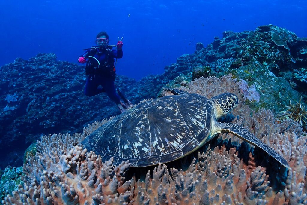 Claudia Ishibashi de Camargo mergulhando no Japão — Advanced Open Water Diver, KAGE DIVING TEAM