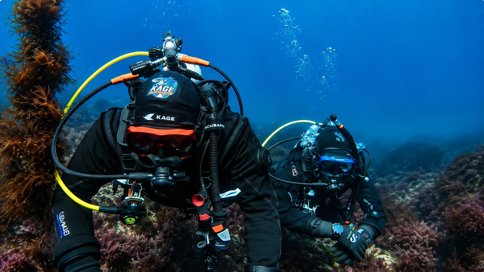 Rodrigo Kage instruindo aluno no mergulho em Kumano, Mie — KAGE DIVING TEAM